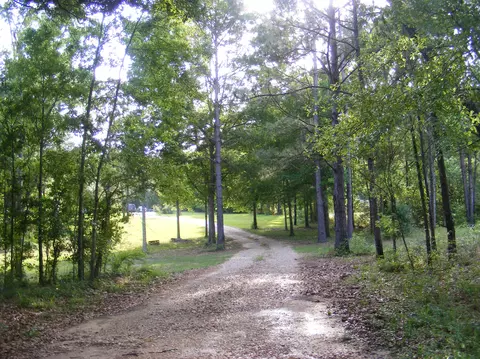 45 Old Salt Rd, Sumrall, MS 39482 photo 8