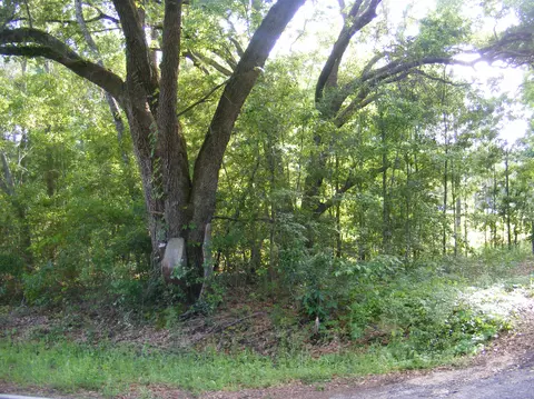45 Old Salt Rd, Sumrall, MS 39482 photo 9