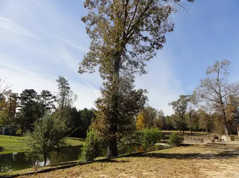 53 County Road 233, Laurel, MS 39443 photo 30