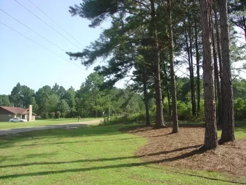 659 Scruggs Rd, Sumrall, MS 39482 photo 24