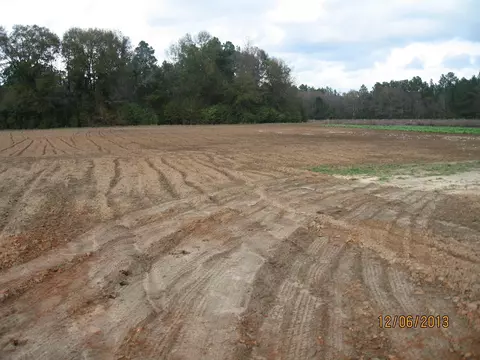 12 Mitchell Rd, Purvis, MS 39475 photo 3