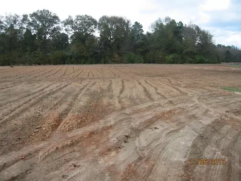 12 Mitchell Rd, Purvis, MS 39475 photo 2