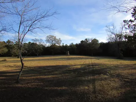 20 Billy Graham, Sumrall, MS 39482 photo 14