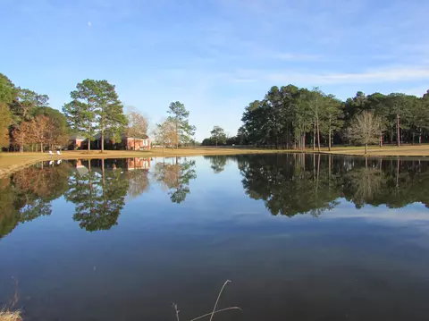20 Billy Graham, Sumrall, MS 39482 photo 8