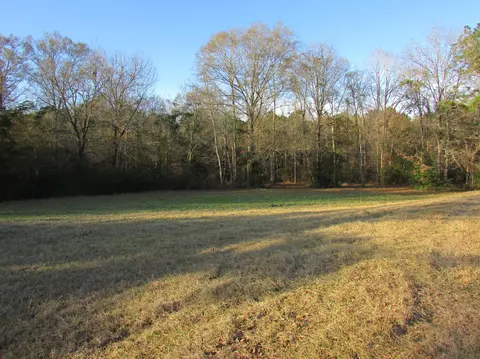 20 Billy Graham, Sumrall, MS 39482 photo 15