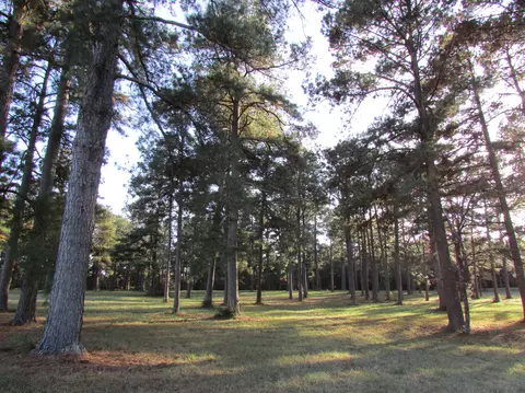 20 Billy Graham, Sumrall, MS 39482 photo 16