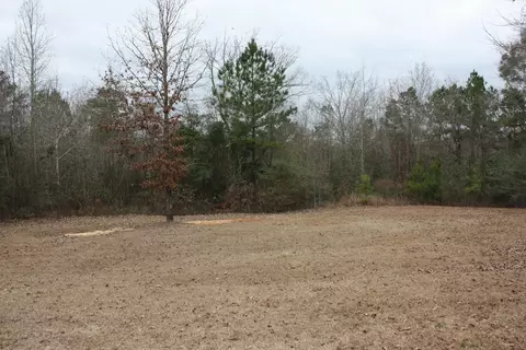 132 Chocktaw Rd, Carson, MS 39427 photo 3