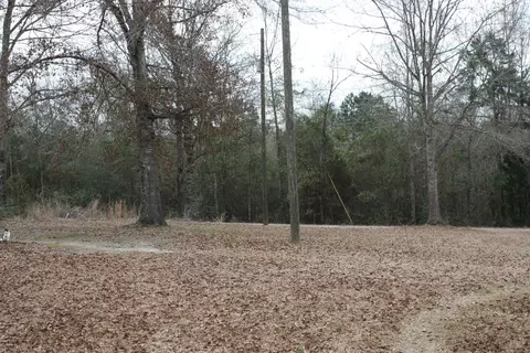 132 Chocktaw Rd, Carson, MS 39427 photo 4