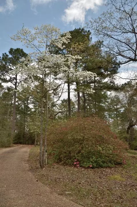 176 Hickory Hills Loop, Purvis, MS 39475 photo 46
