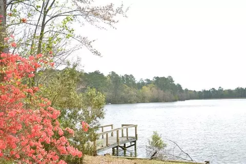 176 Hickory Hills Loop, Purvis, MS 39475 photo 39