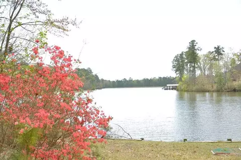 176 Hickory Hills Loop, Purvis, MS 39475 photo 3