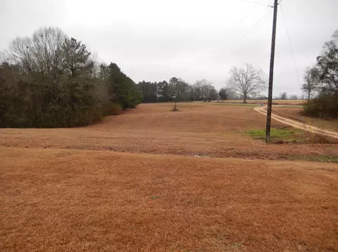 199 Stringer Rd, Columbia, MS 39429 photo 17