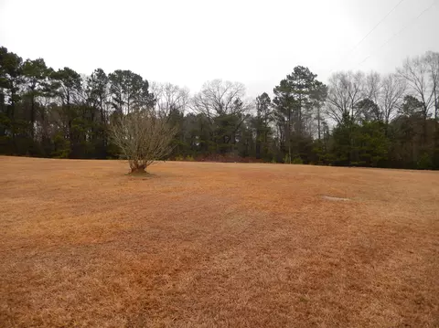 199 Stringer Rd, Columbia, MS 39429 photo 18