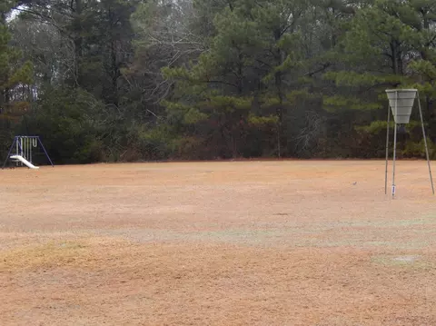 199 Stringer Rd, Columbia, MS 39429 photo 19