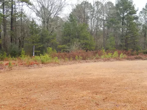199 Stringer Rd, Columbia, MS 39429 photo 21