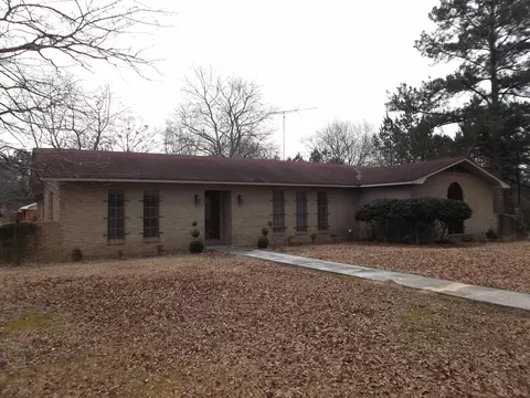 100 Sweetgum St, Mize, MS 39116 photo 1
