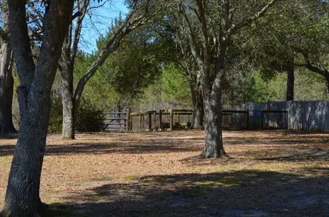 1549 Cr 10, Stringer, MS 39481 photo 4