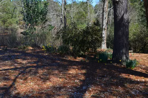1549 Cr 10, Stringer, MS 39481 photo 9