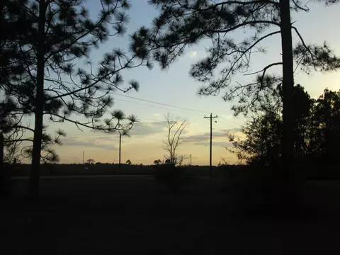 243 Tee Rd, Lumberton, MS 39455 photo 3