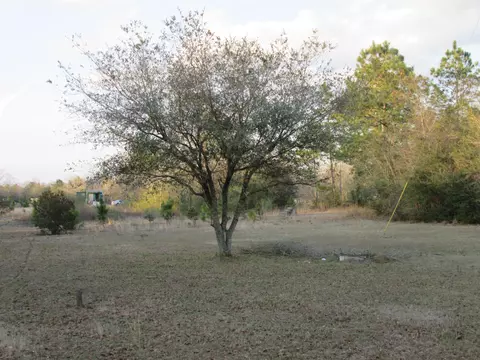 243 Tee Rd, Lumberton, MS 39455 photo 4