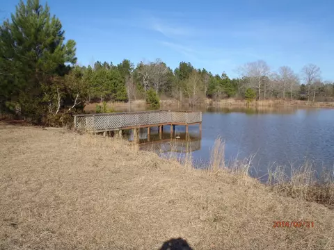 1196 Oloh Rd, Sumrall, MS 39482 photo 23