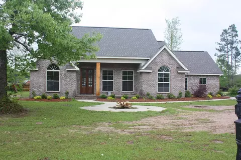 10 Palm Tree Loop, Petal, MS 39465 photo 1