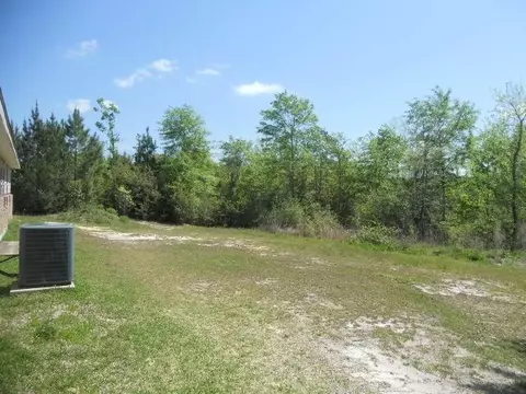 352 Shadeville Rd, Wiggins, MS 39577 photo 6