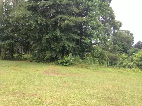 9335 Highway 35, Mize, MS 39116 photo 38