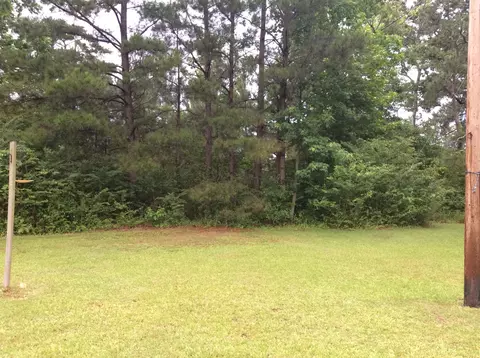 9335 Highway 35, Mize, MS 39116 photo 37