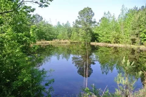 35 Cr 21, Laurel, MS 39443 photo 3
