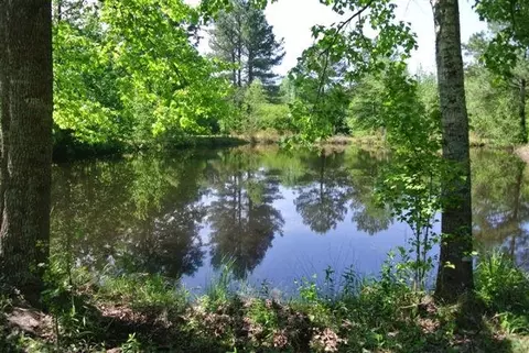 35 Cr 21, Laurel, MS 39443 photo 2