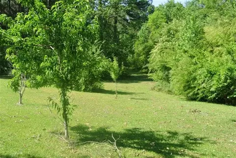35 Cr 21, Laurel, MS 39443 photo 16