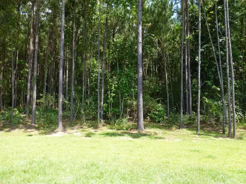 175 Lost Orch, Purvis, MS 39475 photo 4