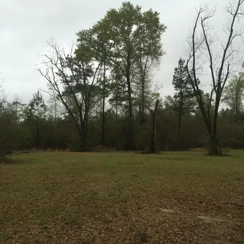 2071 Kimbell, Terry, MS 39170 photo 17