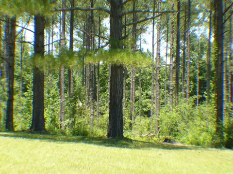 687 Albert Graves Rd, Sumrall, MS 39482 photo 33