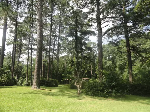 2012 Wansley Rd, Laurel, MS 39443 photo 4