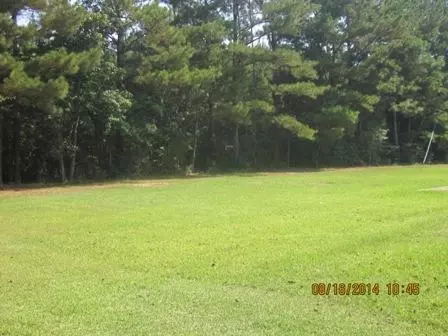 190 Wilson Rd, Collins, MS 39428 photo 3