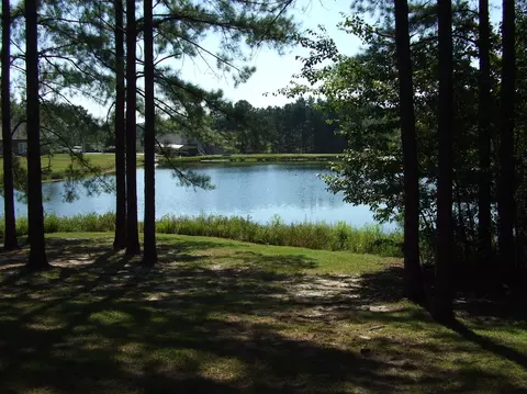 20 Angie Dr, Purvis, MS 39475 photo 2