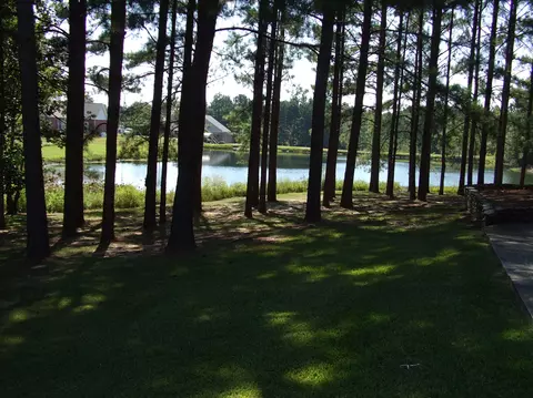 20 Angie Dr, Purvis, MS 39475 photo 4