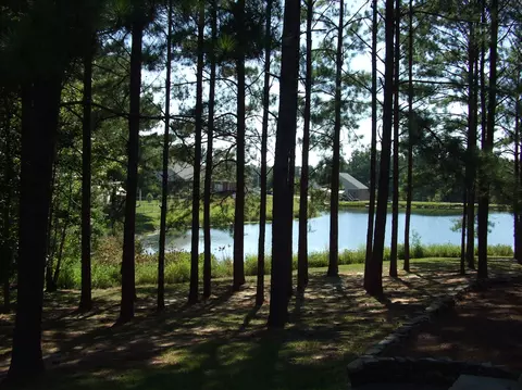 20 Angie Dr, Purvis, MS 39475 photo 7