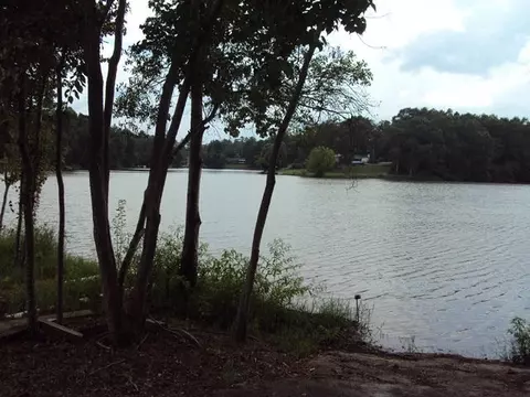 3 Lakeview Dr, Purvis, MS 39475 photo 23