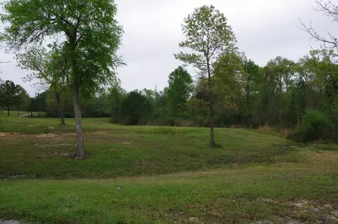 2000 Carnes Rd, Brooklyn, MS 39425 photo 3