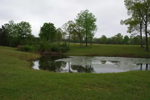 2000 Carnes Rd, Brooklyn, MS 39425 photo 2