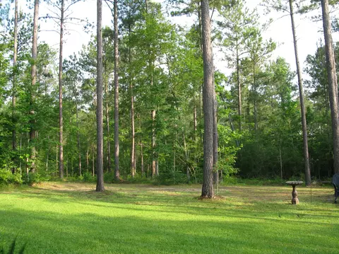 3932 Ms-589, Sumrall, MS 39482 photo 47