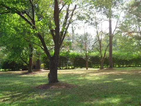 1098 Howell Rd, Purvis, MS 39475 photo 71