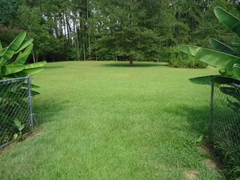 1098 Howell Rd, Purvis, MS 39475 photo 61