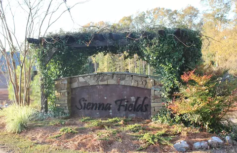 43 Tuscan, Sumrall, MS 39482 photo 42