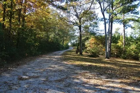 262 Monroe Robertson Rd, Collins, MS 39428 photo 23