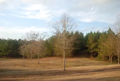341 New Hope, Sandy Hook, MS 39478 photo 44