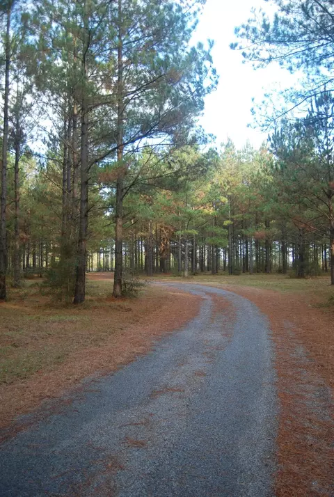 341 New Hope, Sandy Hook, MS 39478 photo 39